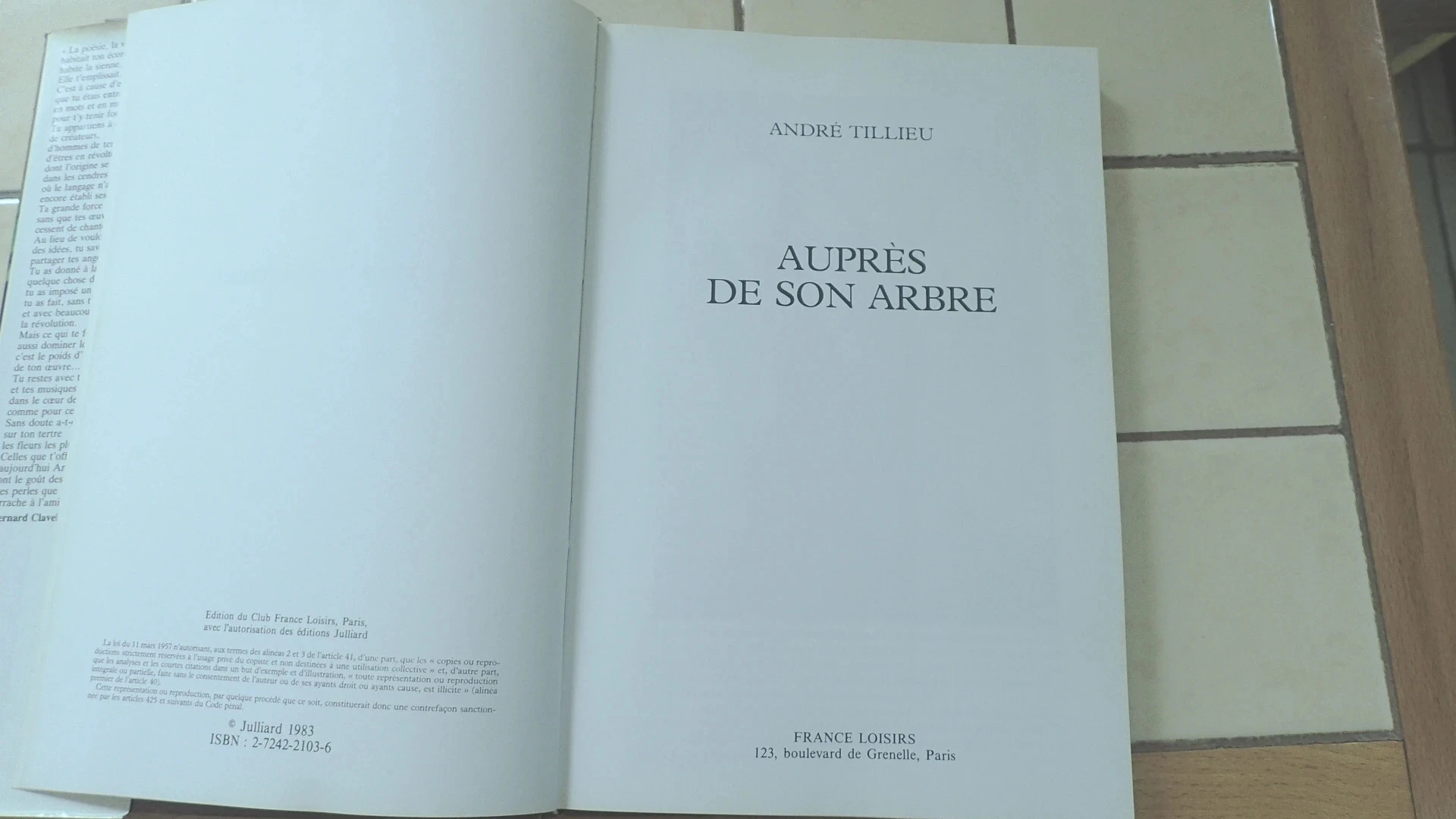 Auprès de son arbre – photo 5